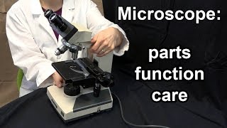 Microscope Parts Function and Care [upl. by Adamski593]