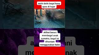 HATIHATI SELALU KALAU DI LUAR‼️ BANYAK BEGAL⁉️⁉️😡shortvideo shorts [upl. by Ihcego845]