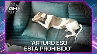 Arturo se volvió loco y Gran Hermano le llamó la atención 😅 [upl. by Sirrap]