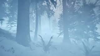 MW Conifer Forest Biome heavy snow storm [upl. by Noonan909]