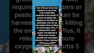 Did You Know Facts  Sustainable Living [upl. by Eivets]