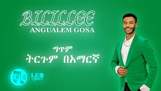 Bilillee  Andualem Gosa  New Oromo Music Lyrics 2024  Leo Lyrics [upl. by Boorman65]