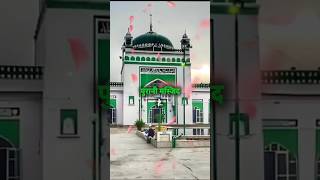 Sambhal jama masjid shorts islamic islam [upl. by Eiser]