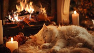 Snow Falling Outside Window  Cozy Room with Cat Purring and Fireplace Sounds  Deep Sleep Relaxing [upl. by Annawahs]