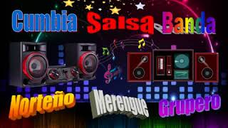 Antaño  Cumbia Salsa Banda Grupera Merengue Norteña [upl. by Natlus679]