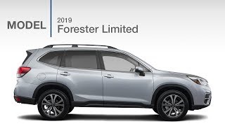 2019 Subaru Forester Limited  Model Review [upl. by Azyl]