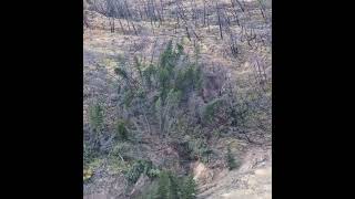 UPDATE Water Beginning to Breach Chilcotin River Landslide  Aug 5 2024 [upl. by Coffin]