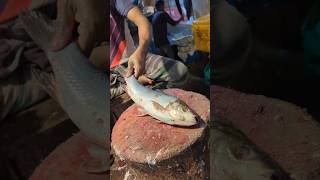 Amazing Big Mrigal Fish Cutting Skills Live In BD Fish8Market [upl. by Andrus]