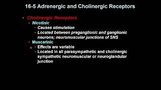 Adrenergic and Cholinergic Receptors [upl. by Portland]