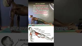 gymlife abs workout bodybuilding [upl. by Longwood715]