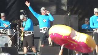 The Aquabats  In My Dreams  BACK TO THE BEACH FEST [upl. by Secnirp]