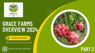 Grace Farms Overview Part 2  Rwanda Agriculture  Dragon Fruit Farming [upl. by Domela865]