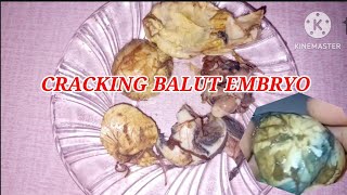 CRACK BALUT🥚🦆EGG EMBRYO EXOTIC FOOD EGGBALUT [upl. by Childers]