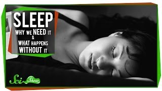 Sleep Why We Need It and What Happens Without It [upl. by Lela]