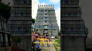 Thillaiyadi valliammai temple thiruvannamalai shortsvideo travelshorts [upl. by Oulman]