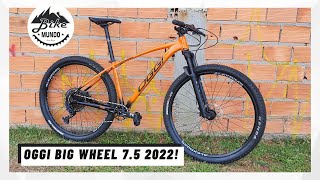 OGGI BIG WHEEL 75 2022 REVIEW  BIKE MUNDO [upl. by Egide]