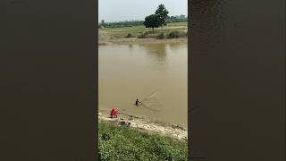 Rohini River net fishing [upl. by Achilles560]