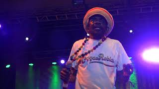 Cocoa Tea Hurry Up and Come Sierra Nevada World Music Festival June 23 2018 [upl. by Munafo]