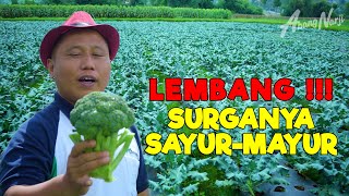 LEMBANG  SURGANYA SAYURMAYUR [upl. by Christoper]