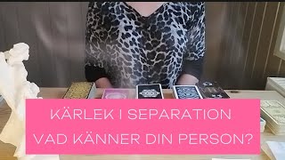 Vad känner din person Kärlek i separation 6 stjärntecken resten kommer imorgon [upl. by Akeihsal]