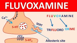 Fluvoxamine  Mechanism side effects precautions amp uses [upl. by Rosio]