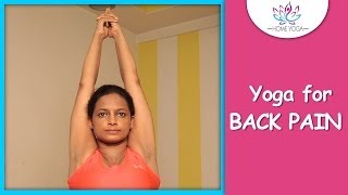 Tadasana  The Mountain Pose  Cure Back Pain With Yoga [upl. by Brynn]