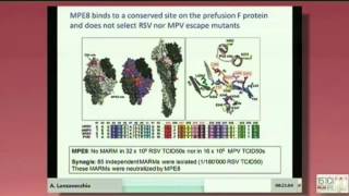 Dissecting the antibody response to pathogens and self antigens [upl. by Lothar]