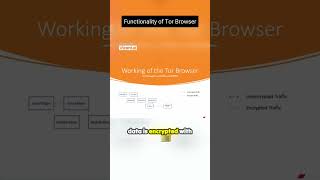 Functionality of Tor Browser TorBrowser OnlinePrivacy Anonymity [upl. by Htebazile]