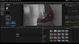 How to use a color mask in Final Cut Pro by juli [upl. by Adnilram592]