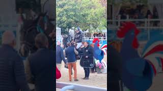 tiktok pony equestrian bestpony showpony horseriding viral [upl. by Alicul201]