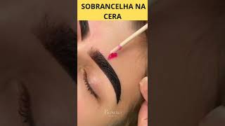 SOBRANCELHA NA CERA sobrancelhaspoderosas sobrancelha hennadesign cera mapeamentofacial sobran [upl. by Pomeroy]