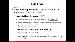 Day 10 BIO 211 720 Lecture FA2024 Circulatory System Part 2 [upl. by Limoli]