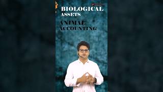 Accounting for Animals or Biological assets IAS 41 Agriculture by CA Rohit Singhal [upl. by Conni]