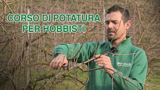 POTARE ALBERI DA FRUTTO  Corso di potatura alberi da frutto per hobbisti  allevamento e produzione [upl. by Aissac17]