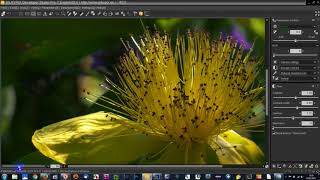 Adjusting Highlights and Shadows in Silkypix [upl. by Waylen]