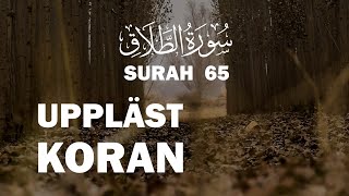 Uppläst Koran Surah 65 koranenpåsvenska ahmadKalbouneh [upl. by Llovera]