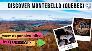 BEST THINGS TO DO IN MONTEBELLO QUEBEC  Parc Omega at night amp hiking in Kenauk Nature [upl. by Barlow]