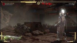 Mortal Kombat 11 CETRION vs CETRION Online [upl. by Kauffmann]