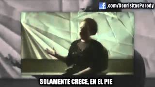 Adele  Juanete en el Pie Parodia de Rolling In The Deep [upl. by Nerrad]