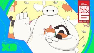 Big Hero 6 The Series  Baymax and Mochi  Official Disney XD UK [upl. by Sikram]