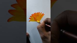 Watercolor drawing shortsvideo art coloringflowers flowerart tranding painting flowereart [upl. by Naashar]