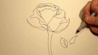 How to Draw a Rose with a Sharpie 1 [upl. by Nilekcaj]