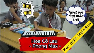 Kèn Phím Melodica  HOA CỎ LAU  PHONG MAX  Nguyễn Xuân Anh Cover [upl. by Bernarr154]