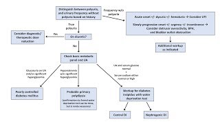 An Approach to Polyuria [upl. by Ylrebnik]