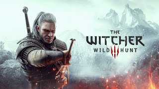 The Witcher 3 Wild Hunt ep 12 [upl. by Kelwin]