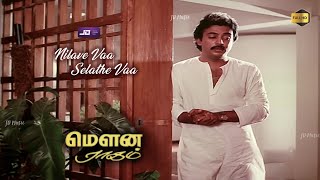 Nilaavae Vaa HD Video Song  Mouna Ragam HD Video Songs  Mohan  Revathi  Ilaiyaraaja [upl. by Keslie228]