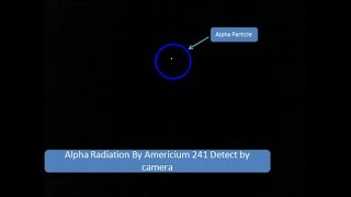 Alpha Decay Of Americium 241 [upl. by Nariko]