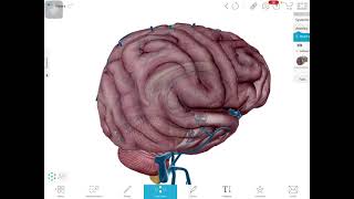 Biopsychology Chapter 1 Introduction Part 1 [upl. by Juno477]