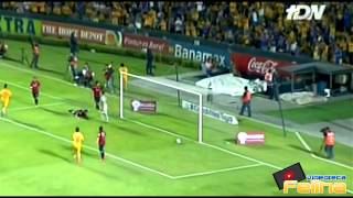 Tigres vs Irapuato 20 Jornada 3 Apertura 2014 Copa Mx HD  RESUMEN GOLES [upl. by Roderigo893]