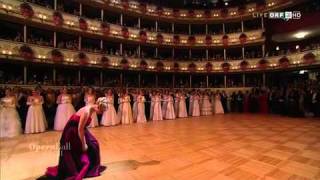 ELINA GARANCA  Live 55th Vienna Opera Ball 2011 [upl. by Odla]